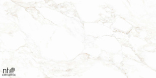 Керамогранит NT Ceramic Marmo Marble Extra Endless Mat арт. NTT99526M (60x120) матовый